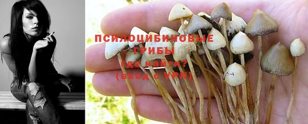 бошки Иннополис