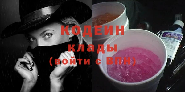 шишки Инсар