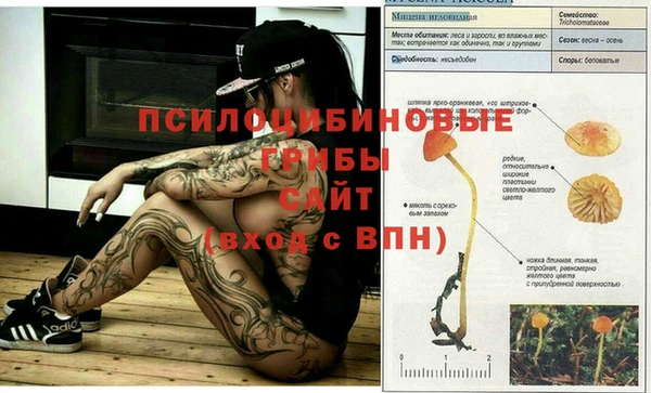 бутик Каменка