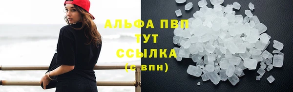 бошки Иннополис