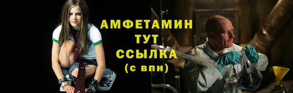 шишки Инсар