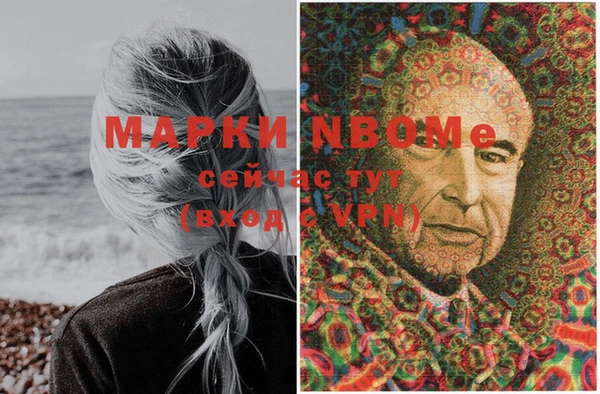 шишки Инсар