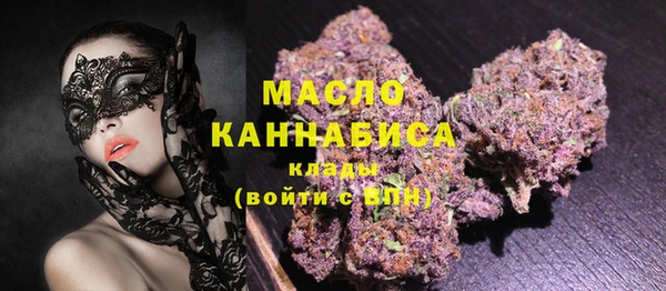 шишки Инсар