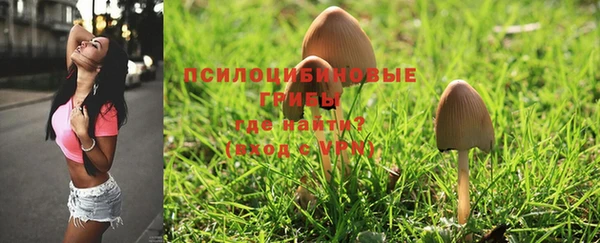 шишки Инсар