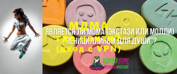 шишки Инсар