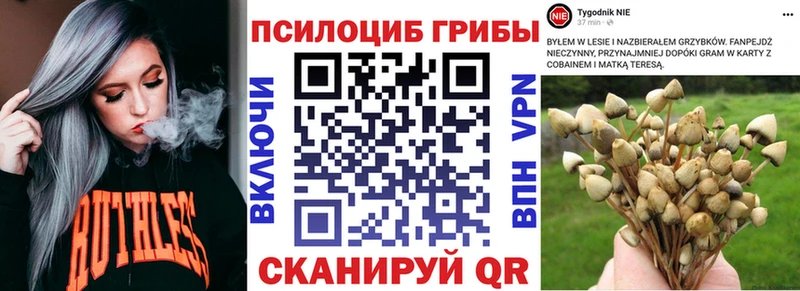 Псилоцибиновые грибы мухоморы  Купить где  Артём 